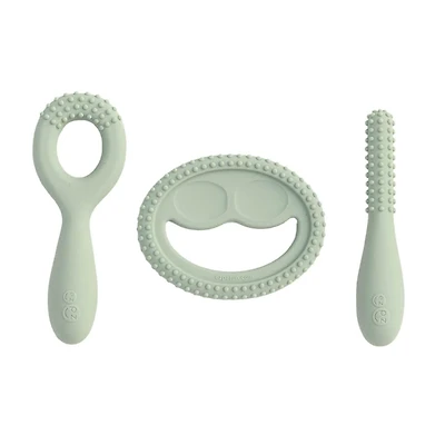 Ensemble Développement de Dentition - Sauge