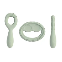 Ensemble Développement de Dentition - Sauge