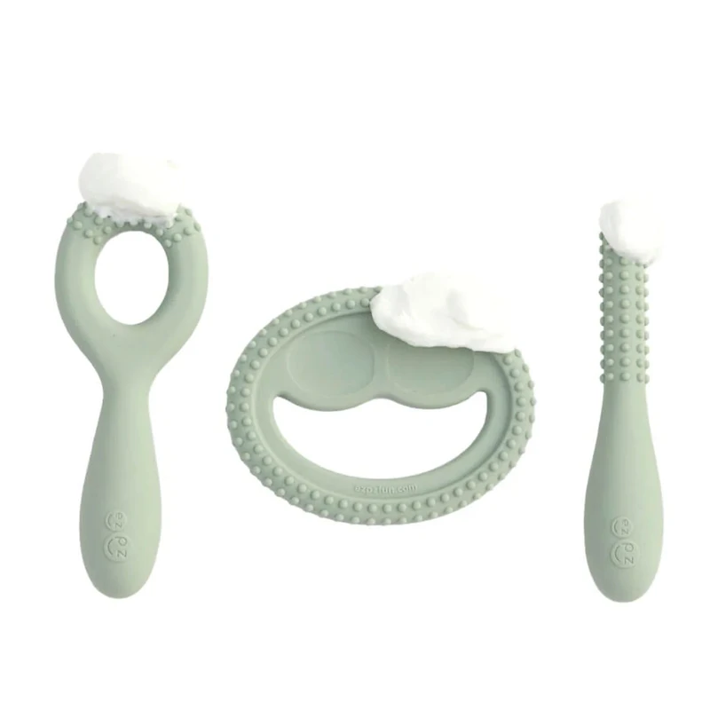Ensemble Développement de Dentition - Sauge