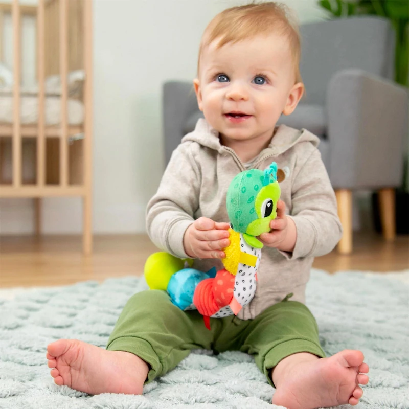 Fun Caterpillar Toy