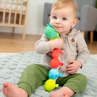 Fun Caterpillar Toy