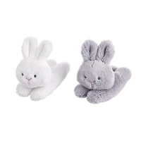 Carrot Learn & Grow 4 Pieces Set