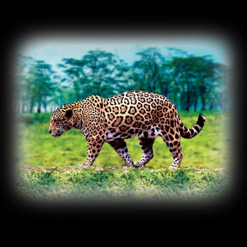 Torch Projector - Wild Animals