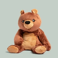 Darby L'ours Peluche Lourde 2kg