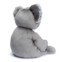 Peluche Lourde 2kg - Quinn le Koala