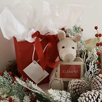 Porte-Carte Kangourou Fondation Sainte-Justine - Cachou