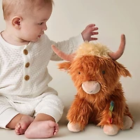 Wyatt The Highland Cow