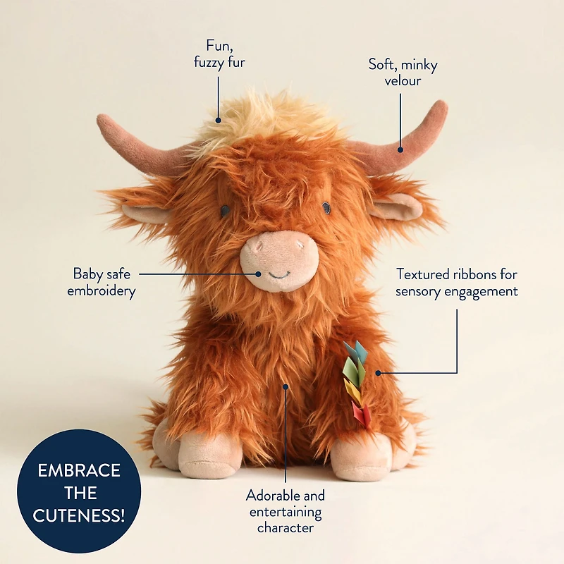 Wyatt The Highland Cow