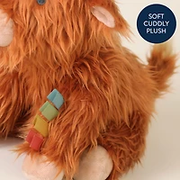 Wyatt The Highland Cow