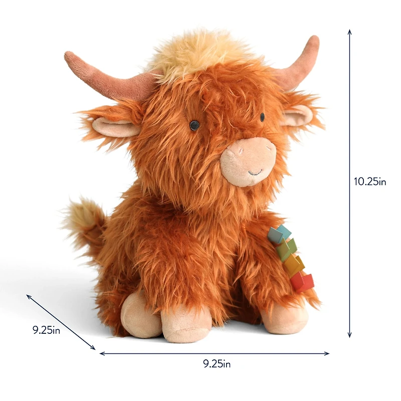 Wyatt The Highland Cow