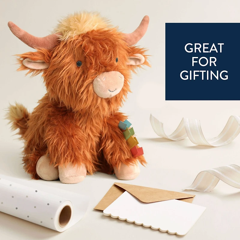 Wyatt The Highland Cow