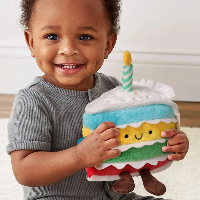 Sprinkle The Cake