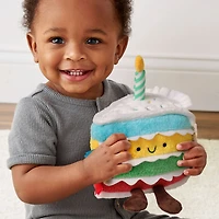 Sprinkle The Cake