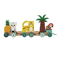 Train Tropical à Tirer