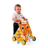 Multi-Activities Cat Baby Walker 
