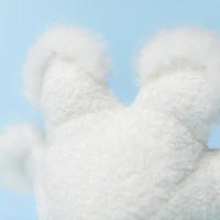 Flocon De Neige