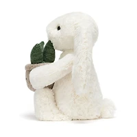 Lapin Crème Avec Plante