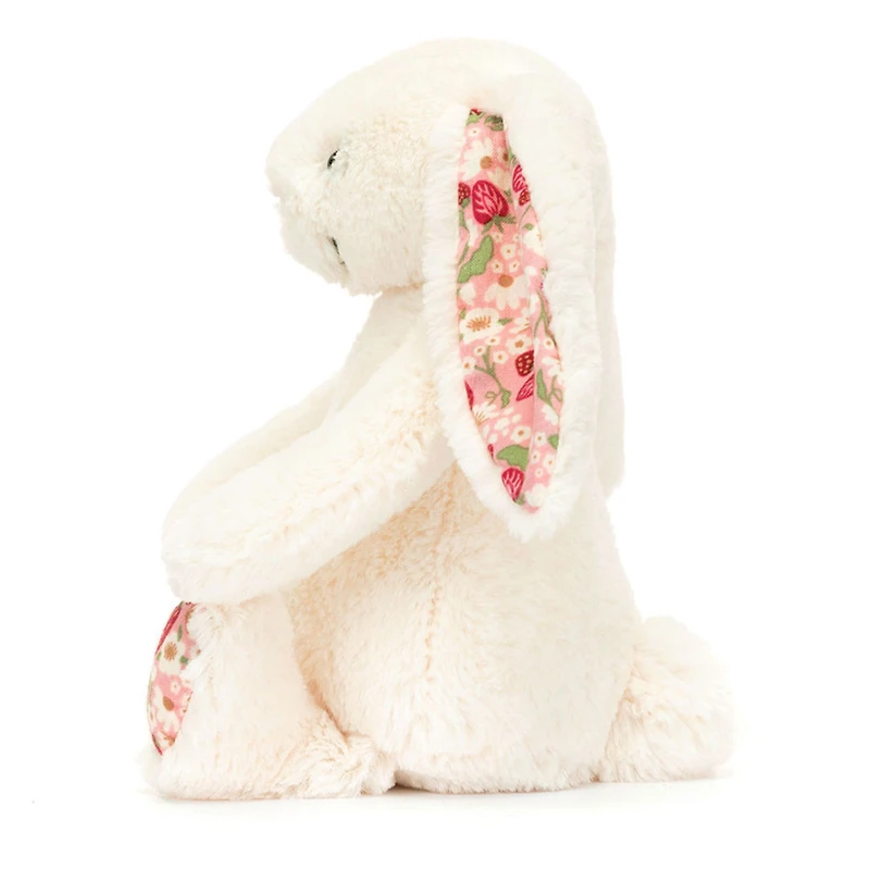 Lapin Beige - Baies