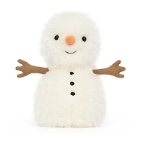 Petit Bonhomme De Neige