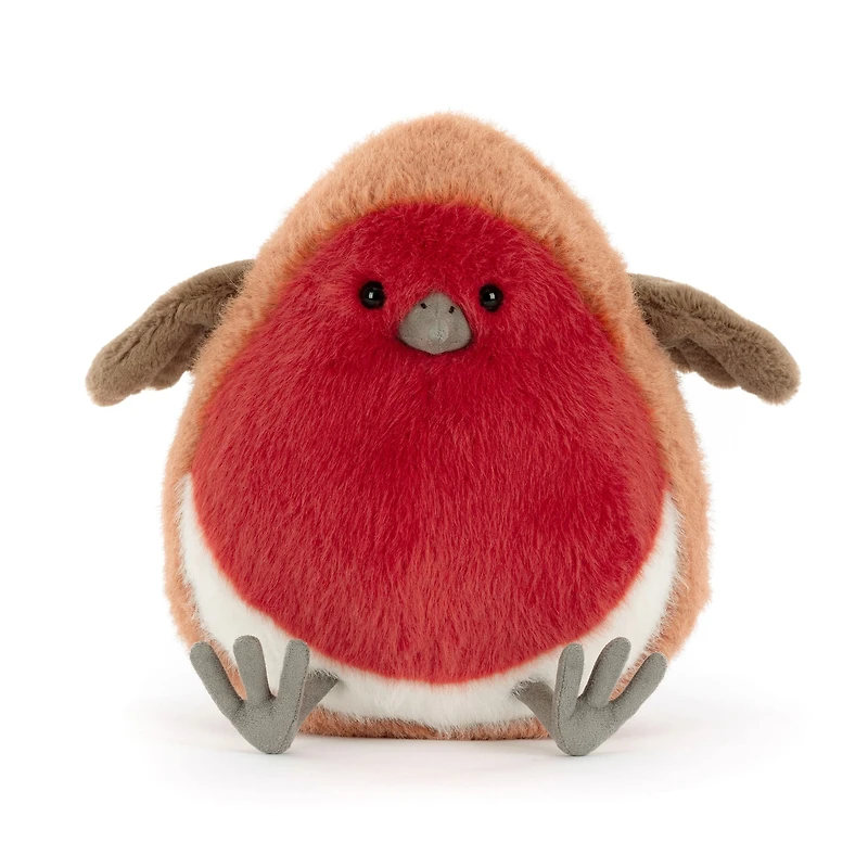 Oiseau Robin