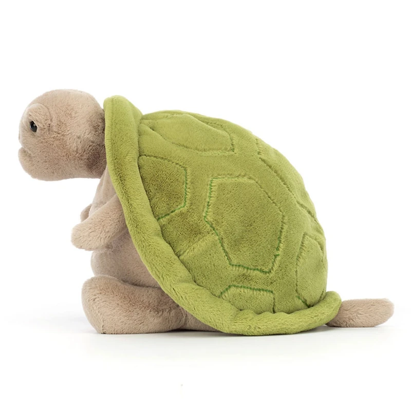 Tortue Timmy