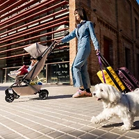 Stroller Aer2 - Forest Green