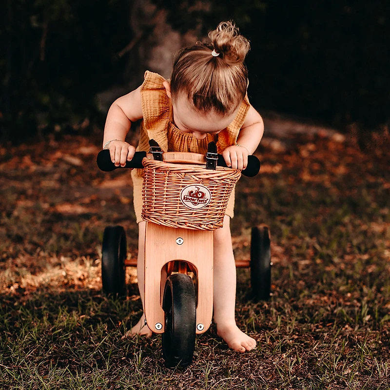 Wicker Bike Basket