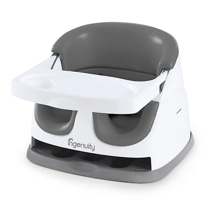 Ingenuity Baby Base 2-in-1™ Seat - Slate