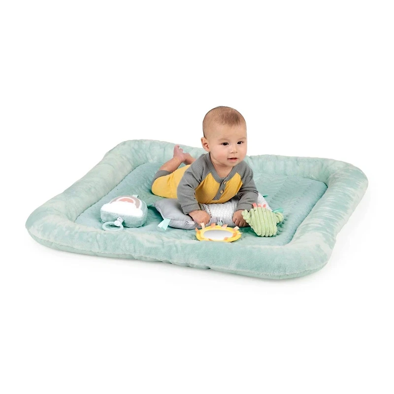 Calm Springs™ Plush Activity Gym - Chic Boutique™