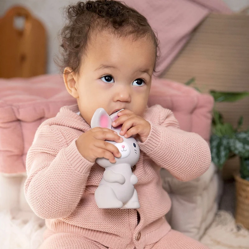 Sylvi Natural Rubber Teether Toy