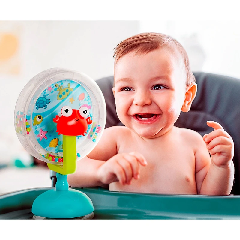 Musical Ferris Whirly Wheel