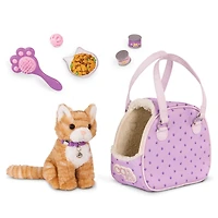 Chaton En Sac