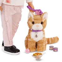 Chaton En Sac