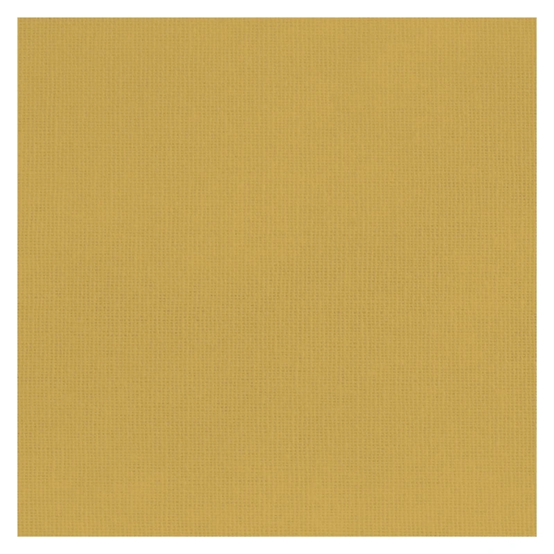 chelle de Croissance FR