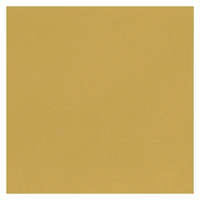 chelle de Croissance FR