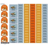 School Name Labels - Skidoo
