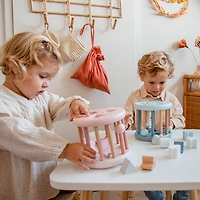 Shape Sorting Wheel  -Pink