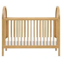 Bondi Cane 3-in-1 Convertible Crib with Toddler Bed Kit - Honey