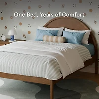 Bondi Double Bed - Walnut Natural