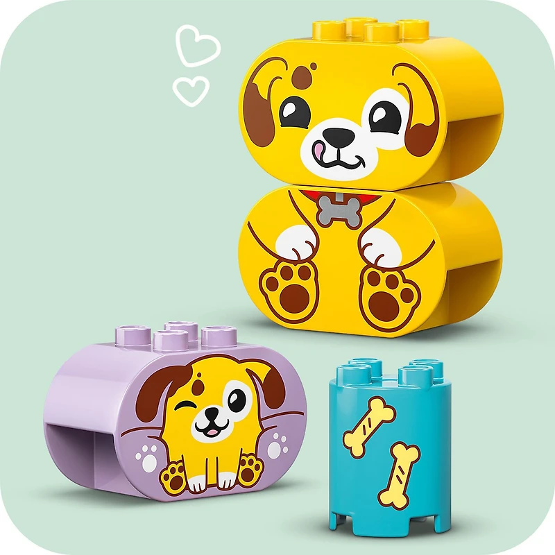 LEGO® DUPLO® Mon premier - Le trieur de formes : la niche du chiot