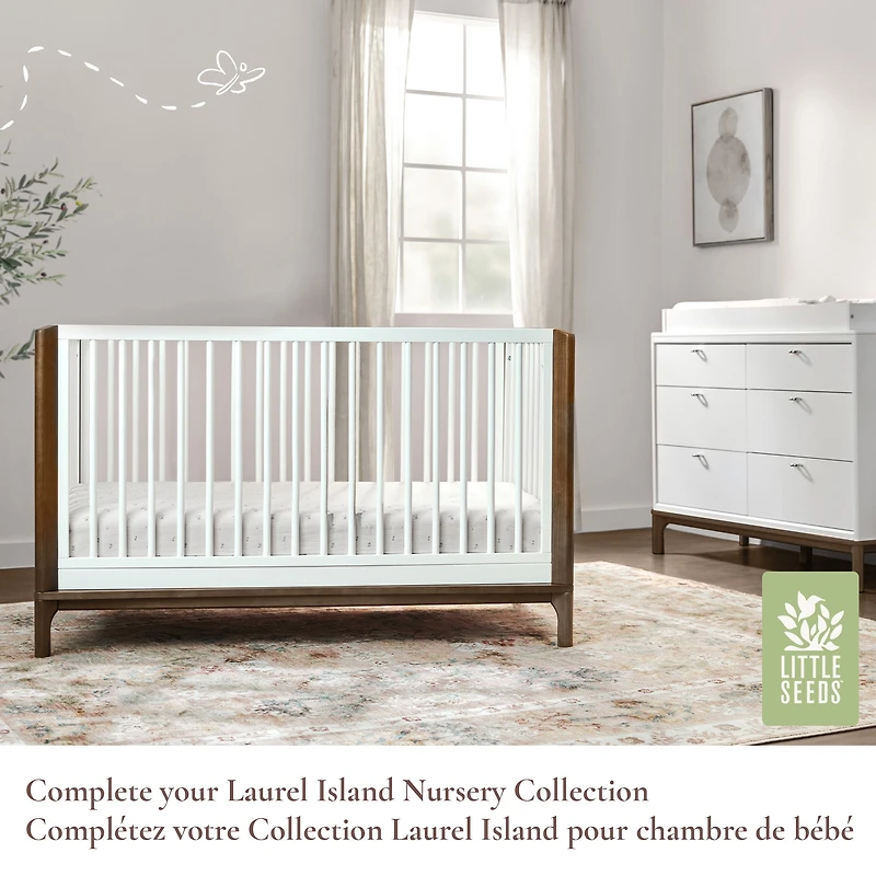 Plateau A Langer  Laurel/Aster - Blanc