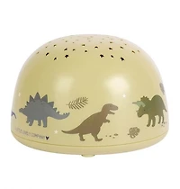 Projector Dinosaurs