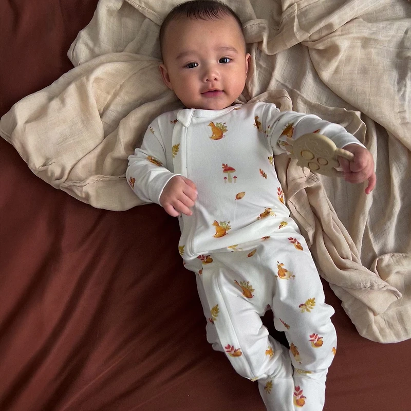 Ensemble Cadeau - Eucalyptus