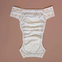 Puffer Fish Swim Diaper 13-25l