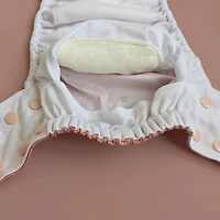 Puffer Fish Swim Diaper 13-25l
