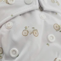 Large Elastic  Cloth Diaper 10-35lb - Bicycle