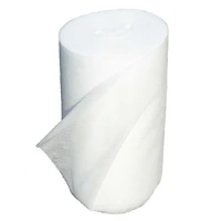 Biodegradable Diaper Liners - 100 sheets