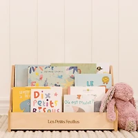Montessori Bookcase