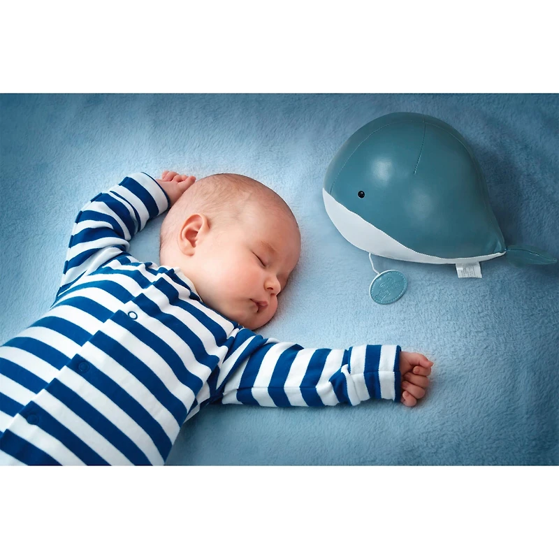 Musical Animal - Madeleine The Whale