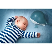 Musical Animal - Madeleine The Whale